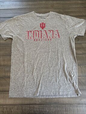 Champion Gray Indiana Short-Sleeve Tee with Red Logo